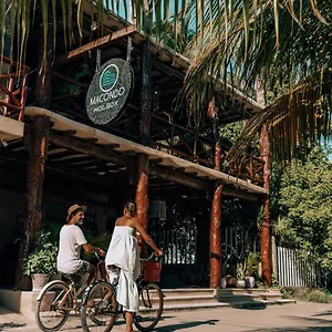 https://new-macondo-holbox-hotel-boutique.quintano-roohotels.com